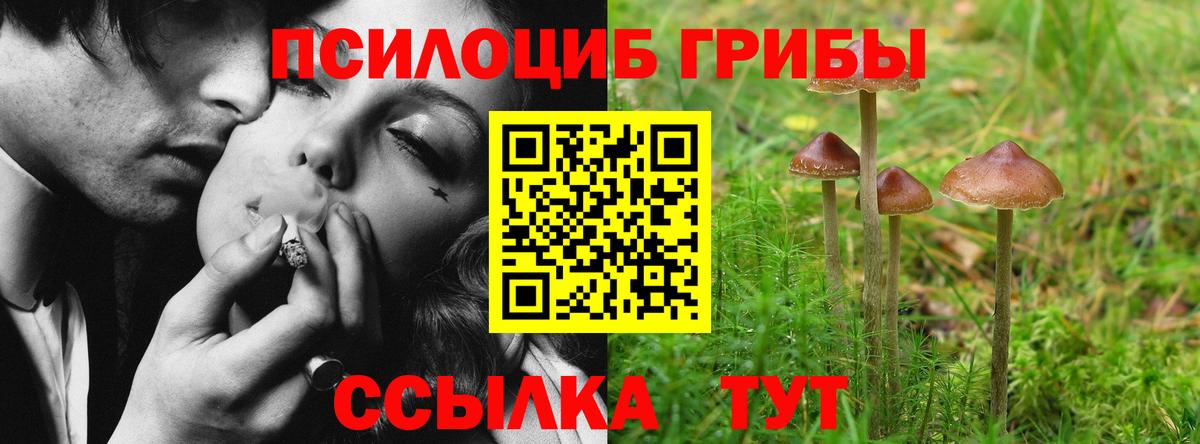купить наркоту  Вход с VPN  Сызрань  Псилоцибиновые грибы мухоморы 